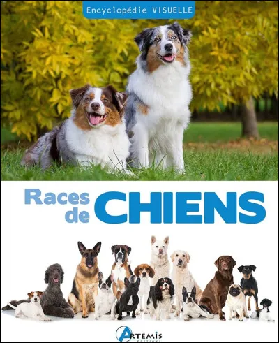 Combien de races de chiens existe til ?