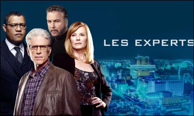 Les chansons des génériques des "Experts" et leurs deux déclinaisons sont celles du même groupe, lequel ?