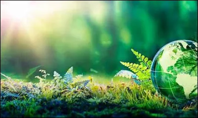 Quelle est ta saison pr&eacute;f&eacute;r&eacute;e ?