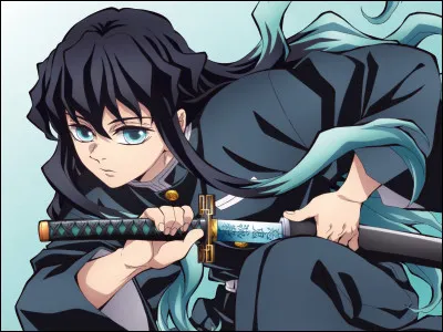 Quel âge a Muichiro Tokito ?