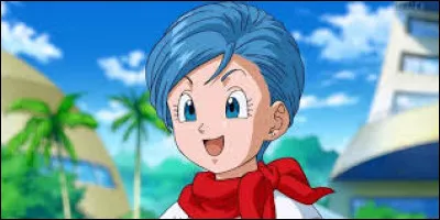 Bulma est la femme de :