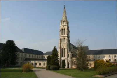 De quelle famille, Wolfgang Liebeneirer nous raconte-t-il la vie, en 1956 ?