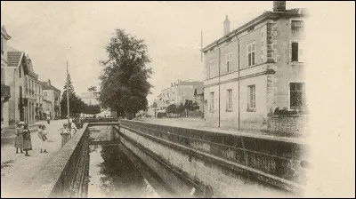 Comment sont les chiens du désert d'Umberto Lenzi, en 1967 ?