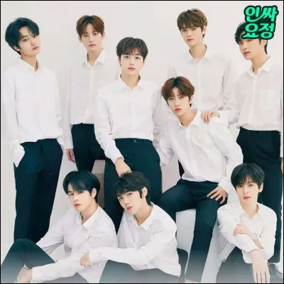 Quel est le plus ancien groupe de K-pop ?