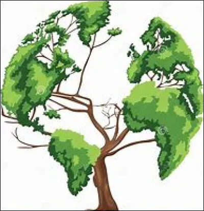 Dans quel pays se situe Saskatoon ?