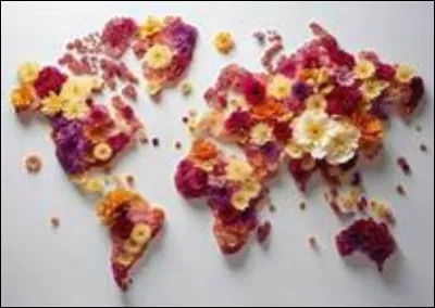 Dans quel pays se situe Samara ?