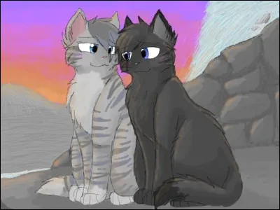 Comment est morte Jolie Plume ?