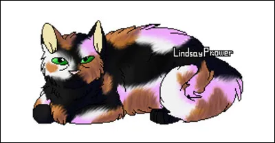 Comment est morte Queue-de-Tortue ?