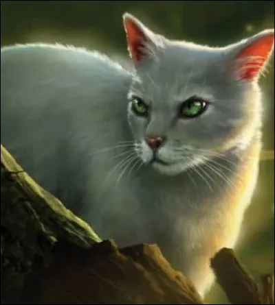 Comment est morte Plume d'Aiguille ?