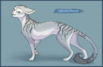 Comment est morte Rivière d'Argent ?