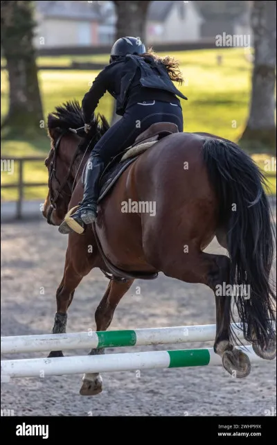 ÉQUITATION : Cette année (2024), en équitation, la France a gagné une médaille :