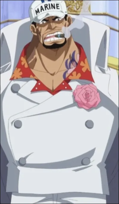 Devant Akainu que fais-tu ?