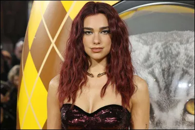 Où est née Dua Lipa ?