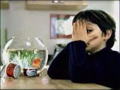 Pour quelle marque ce petit garçon disait à son poisson dans un pub ''Maurice, tu pousses le bouchon un peu trop loin'' ?