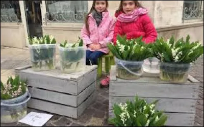 Le 1er mai, un particulier peut vendre du muguet devant chez lui, sur la rue :
