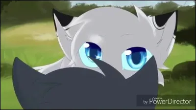 Pour avoir fait preuve de courage, vous êtes nommez apprentis à peine après avoir eu six lunes. Vous vous nommez à présent Nuage de Soleil, Nuage de Lune et Nuage de Brise. Le mentor de ton frère est Croc de Givre, un guerrier très expérimenté. Celui de ta sur est Pelage de Foudre, une chasseuse très rapide. Toi, tu as eu Rivière d'Étoile, une très bonne guerrière. Comment réagis-tu ?