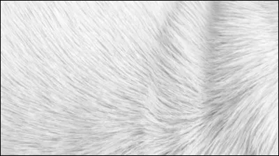 De quelle couleur est ton pelage ?