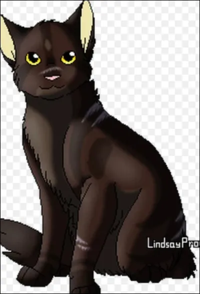 De quoi Étoile Brisée accuse-t-il Croc Jaune ?