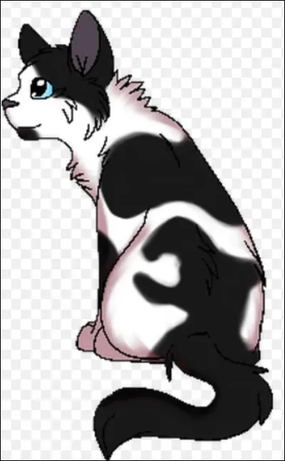 Que se passe-t-il sur le chemin du retour ?