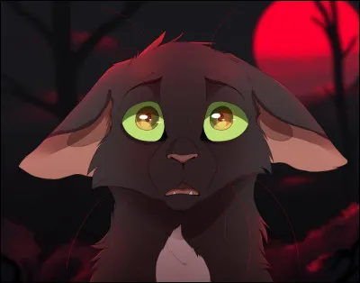 Qu'apprennent Nuage de Feu de Nuage de Jais ?