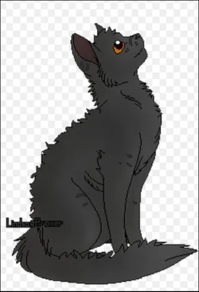 Qui accuse-t-on après la disparition des chatons de Pelage de Givre ?