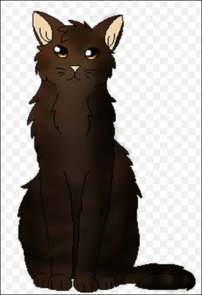 Qui a tué Étoile Grise, le père d'Étoile Brisée ?