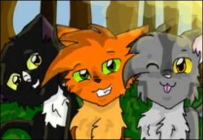 Sur quel chat sauvage Rusty tombe-t-il en premier ?