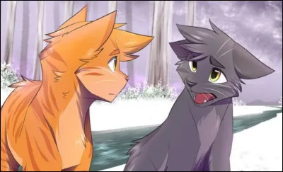 Quels sont leurs noms de chasseur à lui et à Nuage Gris ?