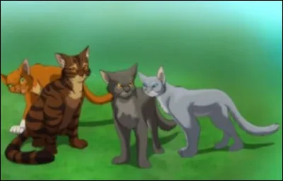 Quels chats composent la première patrouille que Rusty voit ?