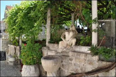 Dans quel pays le restaurant ''Lady Pi-pi'' est-il situé sachant qu'il est à Dubrovnik ?