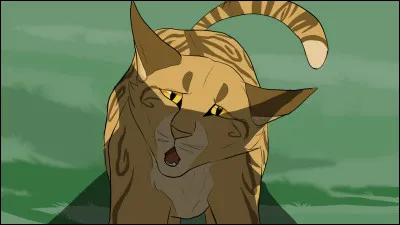 Étoile du Léopard déteste se mouiller les pattes :