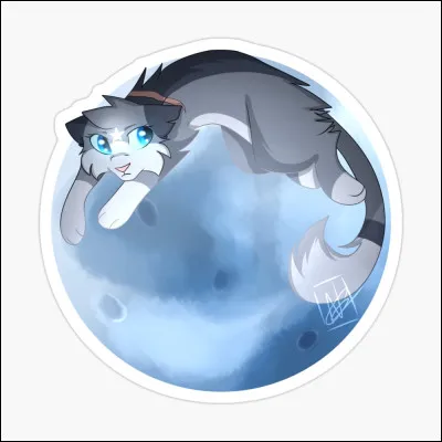 Cur de Feu aime Étoile Bleue :