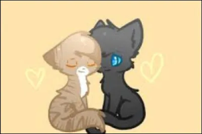 Dans lequel est-ce qu'il y a une Jungle ?