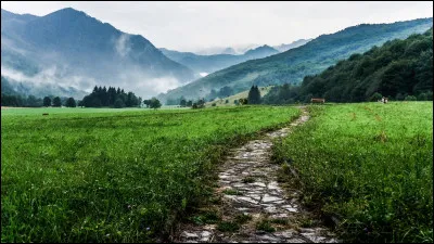 Suite de la question davant : quel est ton paysage préféré ?