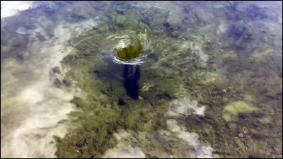 Km 81,0 : Hotchamps. Hameau belge composé de fermes dont 4 imposantes constructions, il se situe dans la vallée des chantoirs. Qu'est-ce donc ?