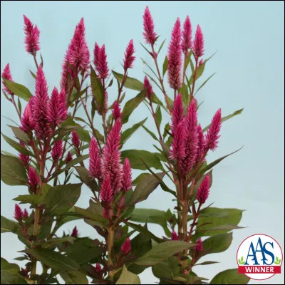 Km 102,0 : Dolembreux. "Le plat pays qui est le mien" chantait Brel mais dans ce village c'est différent, on y trouve des tiges et des chavées. Qu'est-ce que tous ces termes géographiques ?