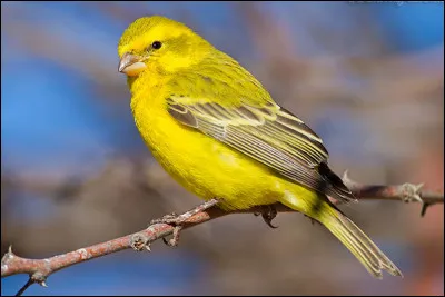 Km 118,1 : Boncelles. Dans quelle ville de la province de Liège, ce village a-t-il fusionné en 1977 ?