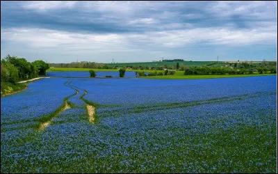 Km 11,1 : Valkenburg aan de Geul. Ou Fauquemont-sur-Gueule en français se trouve dans la province de ?