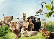 Quiz Quiz animaux