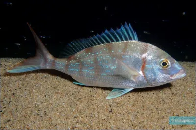 Creux naturel, c'est le...