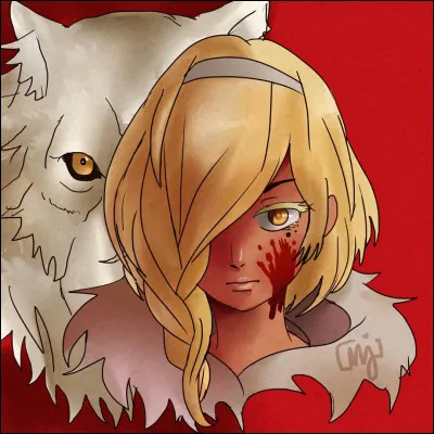 Dans quel manga le personnage Ayshe apparaît-il ?