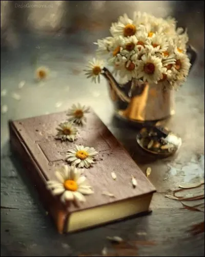 Qui a écrit "Les Lettres persanes" ?