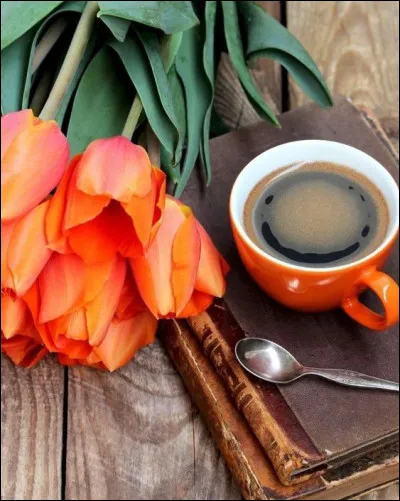 Combien étaient les Compagnons dans la série de livres pour la jeunesse de Paul-Jacques Bonzon ?