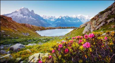 Comment vois-tu "l'aventure" ?