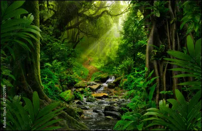 Dans une expédition dans la nature, quel rôle as-tu ?