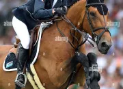 Quiz  cheval pour Paris 2024 !