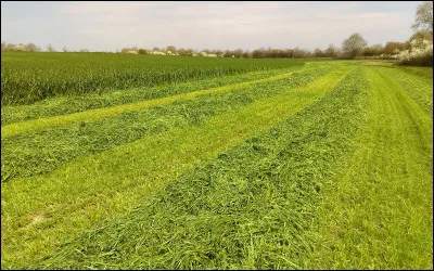 En quoi la carrière est-elle faite ?