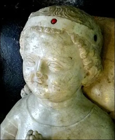 Un seul roi de France a régné de sa naissance à sa mort. Lequel ?