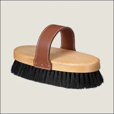 Quelle est la brosse ?