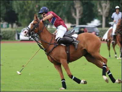 Quelle est cette discipline ?